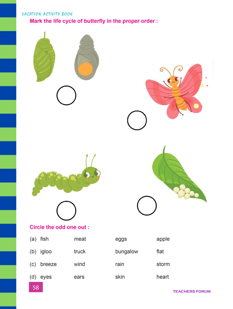 Teachers Forum CBSE Vacation Activity Book Class 4 (A Bridge to Class 5) - Image 7